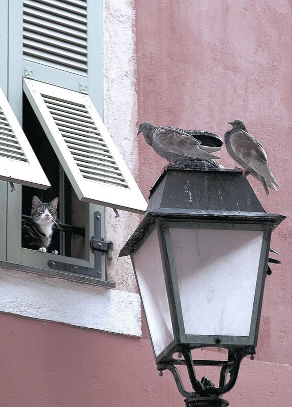 球队是否通过训练优化二次落点处理效率