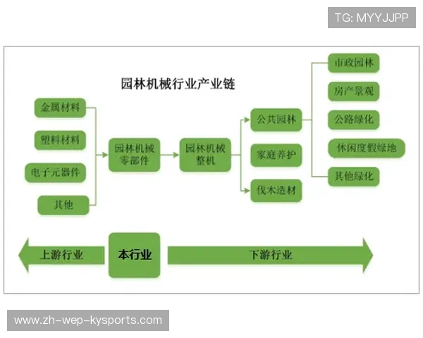 中国足球产业链多元化发展，中国足球产业链多元化发展趋势