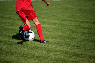 开云真人娱乐官网-篮球专项技能训练标准体系建设，篮球专项训练方法和手段