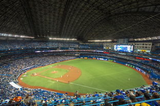 叶门男篮在西亚锦标赛中奋勇奋战，期待展现新实力